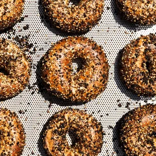 Everything bagels