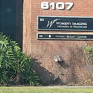 Professional Care friendly service great place to have an exam