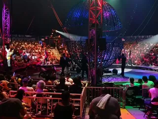 Universoul Circus