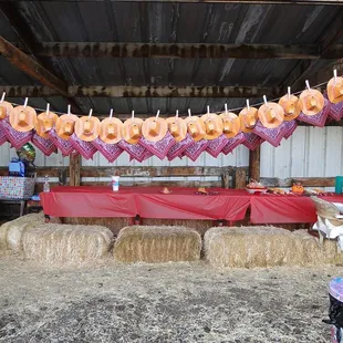 Farm Party - Get down with the horses, cows, goats, pigs, hay slide and much more.