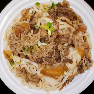 Beef &amp; Onion Gravy Noodles