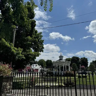 View from garden