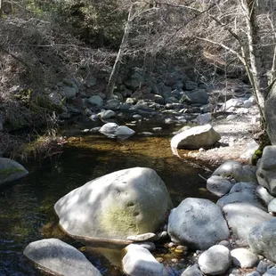 Wishon campground Sequoia Nat'l Park, CA