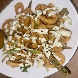 Fried Calamari / Gould's Squid