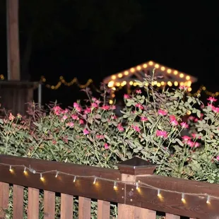 Gorgeous flowers and lighting