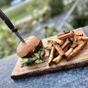 a burger and fries