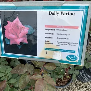 She's coming home with me