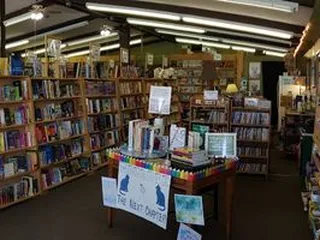 The Next Chapter Books & Novelties