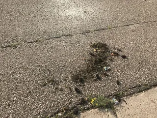Infinite Disposal