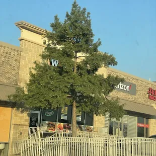 They are located right by Kroger right in front of a big tree!!