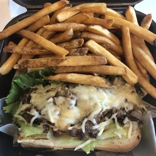Cheesesteak &amp; Fries