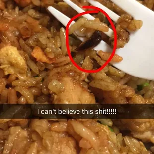 Roach rice I received!