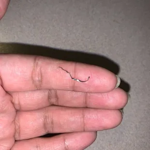 Metal bristle from grill brush in my food