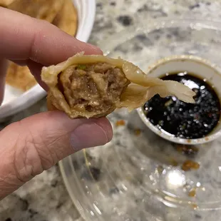 Fired Dumplings