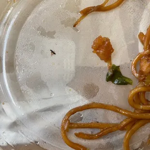 Lo mein and sesame chicken and also a BUG