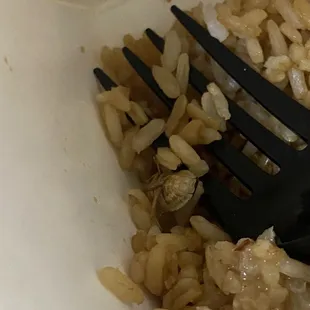 Wok Express
