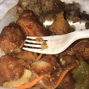 Nasty I ordered general Tso this was disgusting then to have hair in it nasty do not waste your money