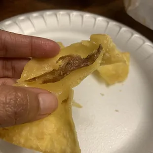 Yes, that is the "stuffing" of the fried wonton.