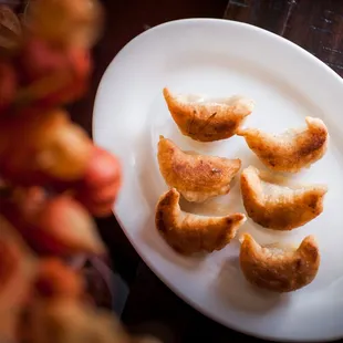 Fried Dumplings