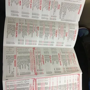 a person holding a menu