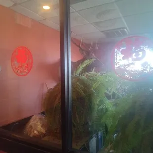 a window with a sign in the window