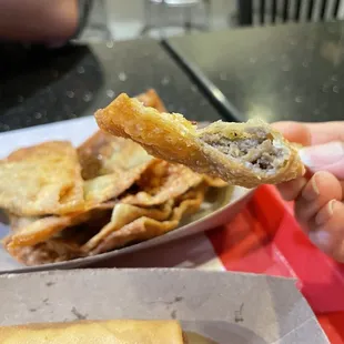 Vegan Beef Wontons