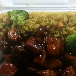 Bourbon chicken and Singapore Noodles