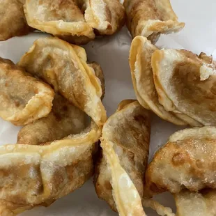 Fried pork pot stickers