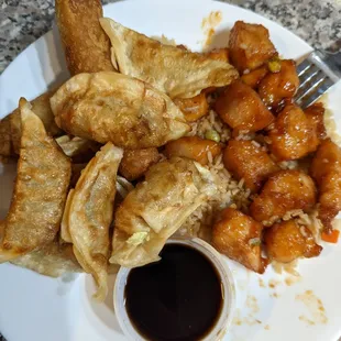 TSO chicken, an egg roll, and an order of fried pot stickers.