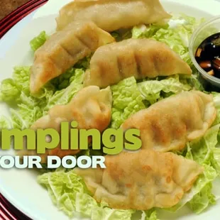fried dumplings delivered to your door