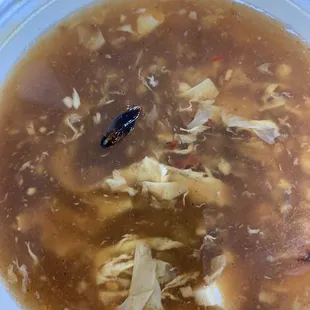 There was a roach in my soup when i did a take out!