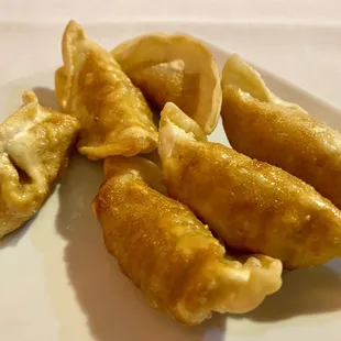 Pot Stickers
