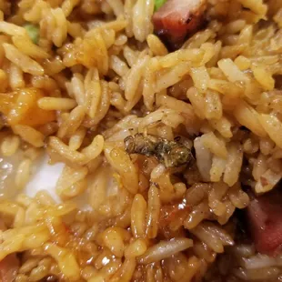 Extra protein no charge.
