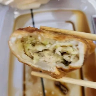 Deep Fried Chicken Potstickers