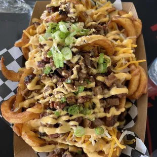 Brisket fries