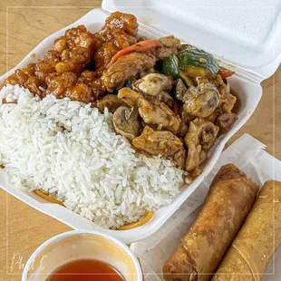 two-item plate with orange chicken, mushroom chicken, rice and chow mein plus veggie egg roll