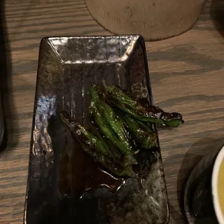 Shishito