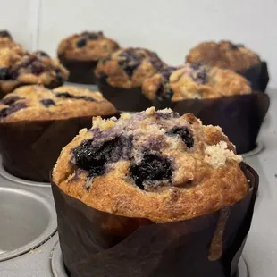 Fresh muffins