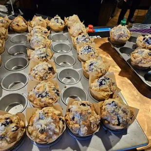 Fresh baked muffins