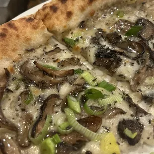 Mushroom Pizza