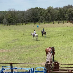 Riding free for fun.