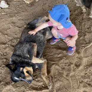 Sammy playing with an actual puppy