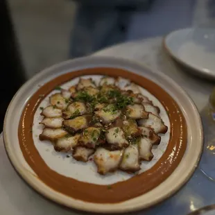 Harissa Octopus