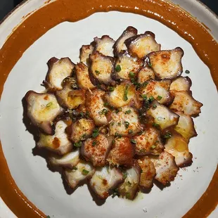 Harissa octopus