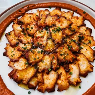 Harissa Octopus