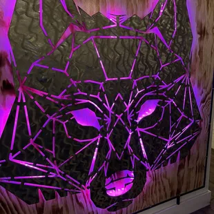 a picture of a cat with purple lights