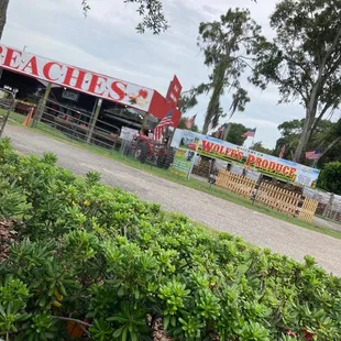 a view from a car window