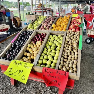 a variety of fruits and vegetables
