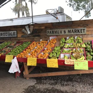 Tons of produce to choose from! Bananas, sweet oranges, likes, pineapples, haas and Florida avocados, and lemons!