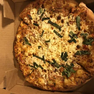 10" Chickenstein minus chicken